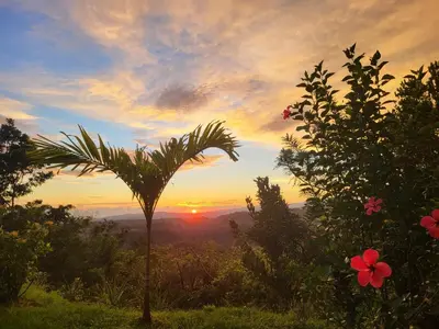 a palm tree in front of a sunset at Villa Milagro in Parrita