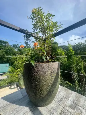 Gallery image of Jungle Glory Homes' La Joya in Quepos