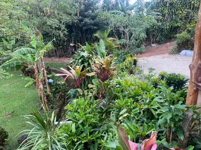 a garden with many different plants and trees at Ecos del Poás junto a la piscina in Alajuela City