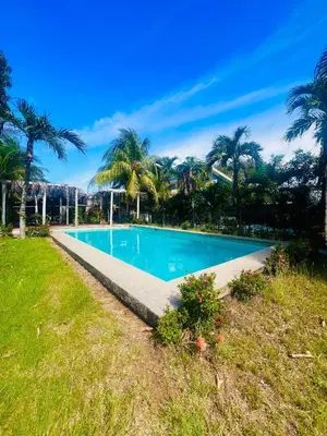 a swimming pool with palm trees in the background at Apartamento con jardín privado in Coco