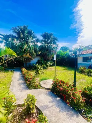 a walkway through a garden with flowers and palm trees at Apartamento con jardín privado in Coco