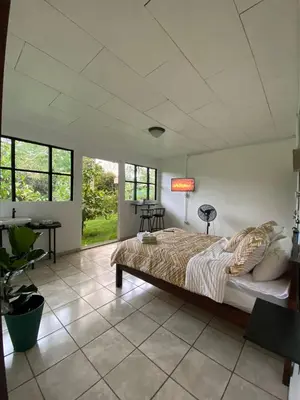 a bedroom with a bed in a room with windows at Green Lodge 1 in Guápiles