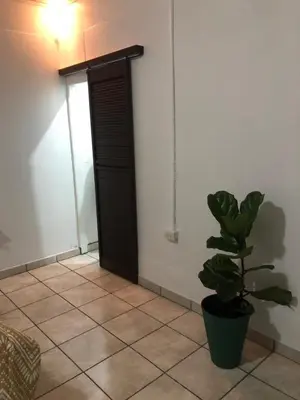 a room with a potted plant next to a door at Green Lodge 1 in Guápiles
