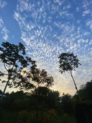 a cloudy sky with two trees in a field at Green Lodge 1 in Guápiles