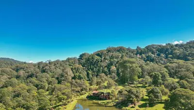 an aerial view of a forest with a house on a river at Mei Tai Cacao Lodge in Bijagua