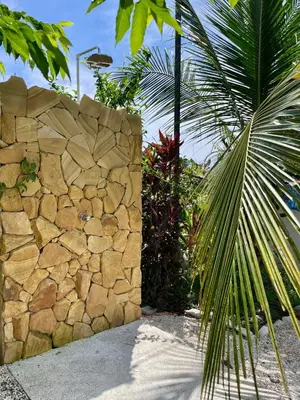 a stone wall with a palm tree next to it at Teva Guest House with Shared pool in Cabuya