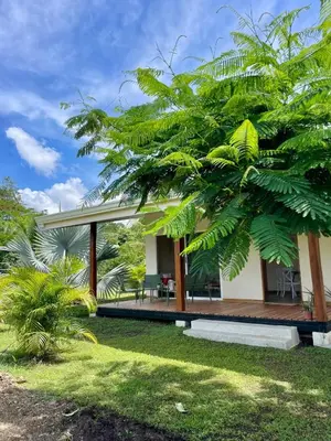 a tropical house with a wooden deck and trees at Teva Guest House with Shared pool in Cabuya