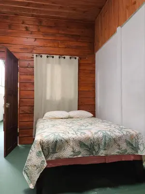 a bedroom with a bed with a wooden wall at Cabin in Orosi in Orosí