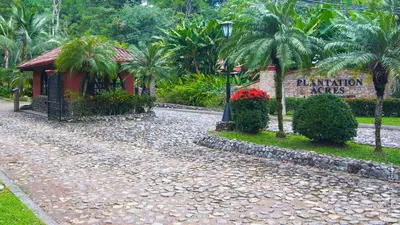 a resort with a sign and palm trees and a street at Villa Azulita in Tarcoles