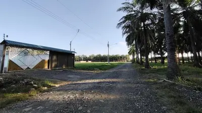 a dirt road with a building and palm trees at Villa Blue Vacations in Parrita