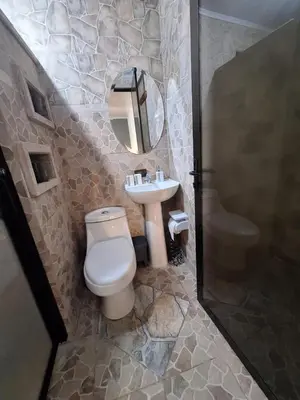 a bathroom with a toilet and a sink and a mirror at Apartamento Studio cerca de Playa Tamarindo in Villarreal