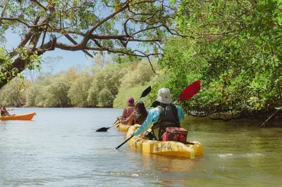 a group of people kayaking on a river at Casa Mimi - Beautiful House In Surfside in Potrero