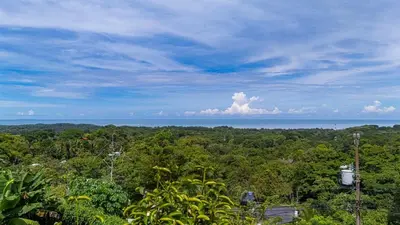 a view of a forest with the ocean in the background at Unique panoramic view and Central location! in Uvita
