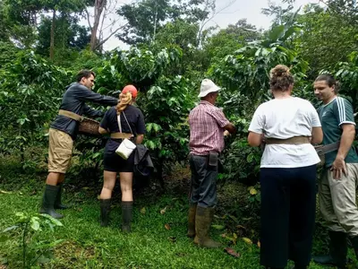 a group of people standing around in a forest at Starfruit House in Chachagua