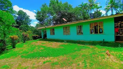 a green house with a dog in front of it at Casa La Esperanza in Chachagua