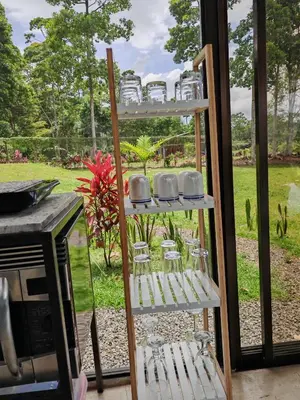 a shelf with cups and dishes on it next to a window at Tropical Crystal House in Guápiles