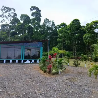 Tropical Crystal House