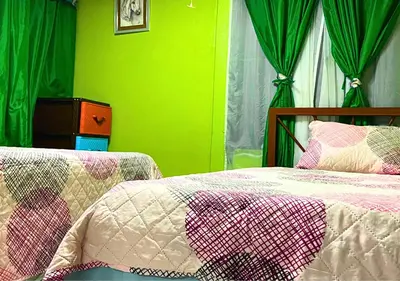 a bedroom with two beds and green walls at Peace of the forest in Llano Grande