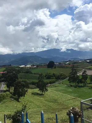 a view of a field with trees and a road at Modern Mediterranean Santorini House in Cartago