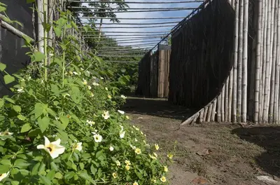 a garden with flowers and a fence at Bambuk Bio Dome Uvita beach front in Uvita