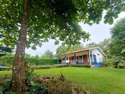a house with a tree in front of it at Casita El Almendro in Bijagua