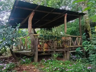 a wooden pergola with plants in a garden at Casita Thisa Chibú in Bijagua