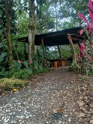 a pavilion in the middle of a garden at Casita Thisa Chibú in Bijagua
