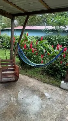 a hammock sitting under a pavilion in a garden at Casita Thisa Chibú in Bijagua
