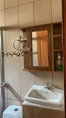 a bathroom with a sink and a mirror and a toilet at Fergust Family Studio Monteverde in Sierra