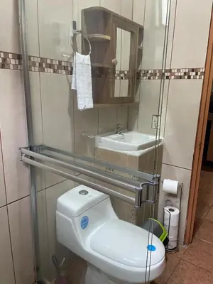 a bathroom with a toilet and a sink at Fergust Family Studio Monteverde in Sierra