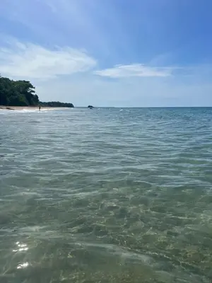 a large body of water with a beach in the background at Amá in Puerto Limón