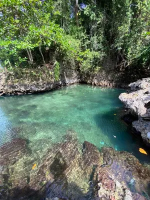 a pool of water in the middle of a river at Amá in Puerto Limón