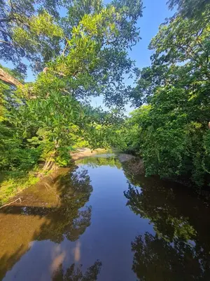 a river with trees reflecting in the water at Casa Abierta Playa Juquillal 2 habitaciones in Santa Cruz
