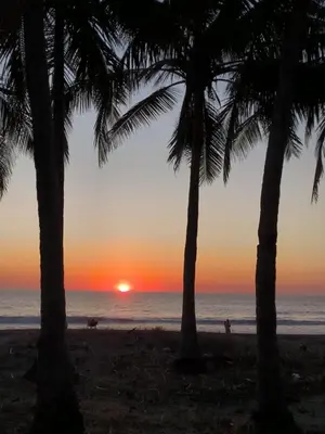 a sunset seen through palm trees on the beach at Casa Abierta Playa Juquillal 1 habitacion in Santa Cruz