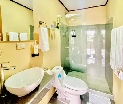a bathroom with a toilet and a sink and a shower at Hotel Nativo Arenal in Fortuna