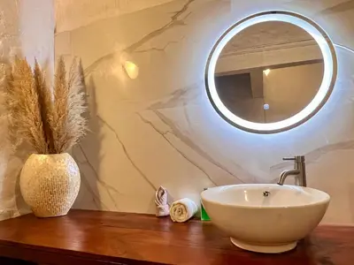 a bathroom with a sink and a mirror on a counter at Kika Zaru Free MA Park Tour & Breakfast in Manuel Antonio
