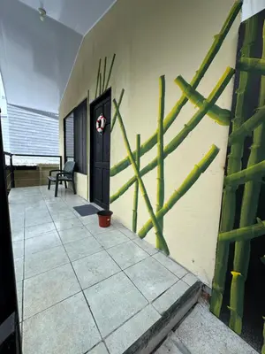 a building with green lines on the side of it at Pelíkano Uvita in Uvita