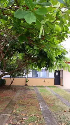 a building with a tree in front of it at Casa Brisa with a private pool in Bejuco in Bejuco