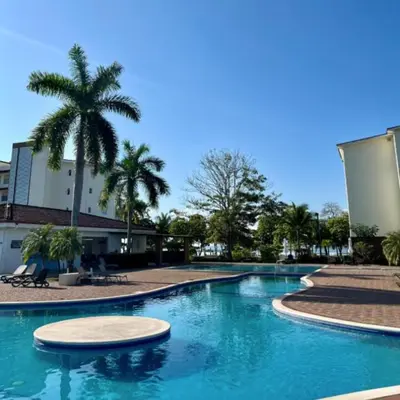 a swimming pool with a palm tree and a building at Casa Brisa with a private pool in Bejuco in Bejuco