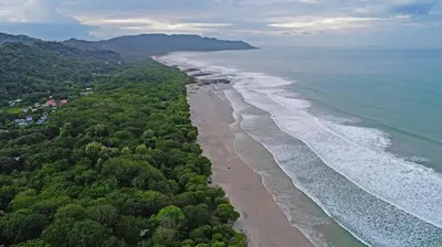 an aerial view of a beach with trees and the ocean at Art Bungalow Walking distance to the beach in Santa Teresa Beach