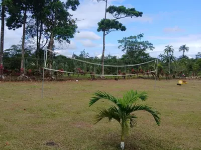 a palm tree in a field with a volleyball net at Tropical Crystal House in Guápiles