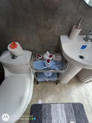 a bathroom with a toilet and a sink with toys at Tropical Crystal House in Guápiles