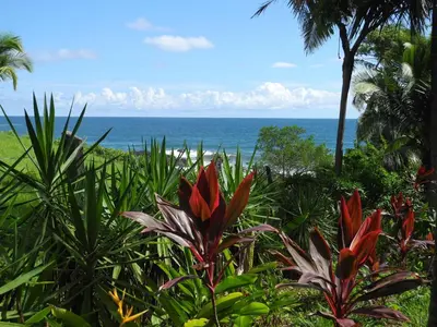 a garden with a view of the ocean at Casas Pelicano in Playa Junquillal