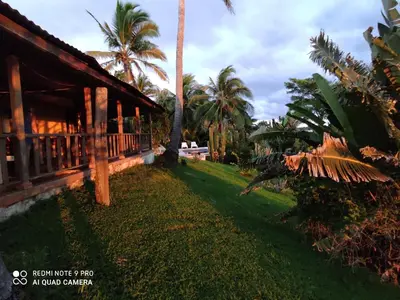 a house with palm trees in front of a yard at Casas Pelicano in Playa Junquillal