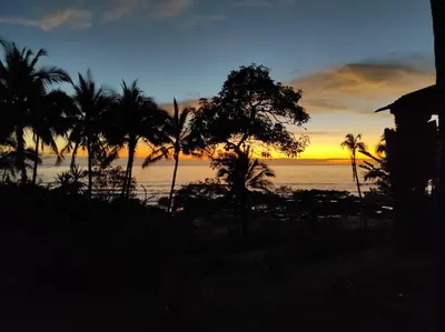 a sunset on a beach with palm trees and the ocean at Casas Pelicano in Playa Junquillal