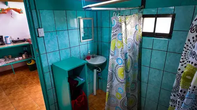 a bathroom with a sink and a shower curtain at Finca Buena Vista in Turrialba