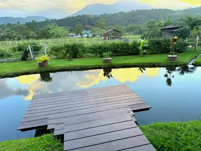 a wooden bridge over a body of water at Casa del Lago in Bijagua