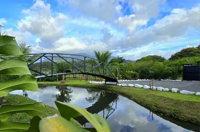 a bridge over a river in a park at Casa del Lago in Bijagua