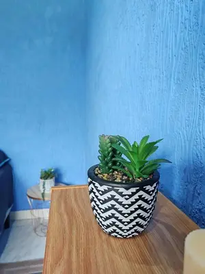 a potted plant sitting on top of a wooden table at YAIZA HOUSE Jaco in Jacó