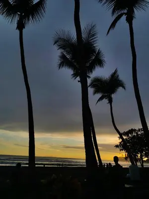 a group of palm trees on the beach at sunset at YAIZA HOUSE Jaco in Jacó